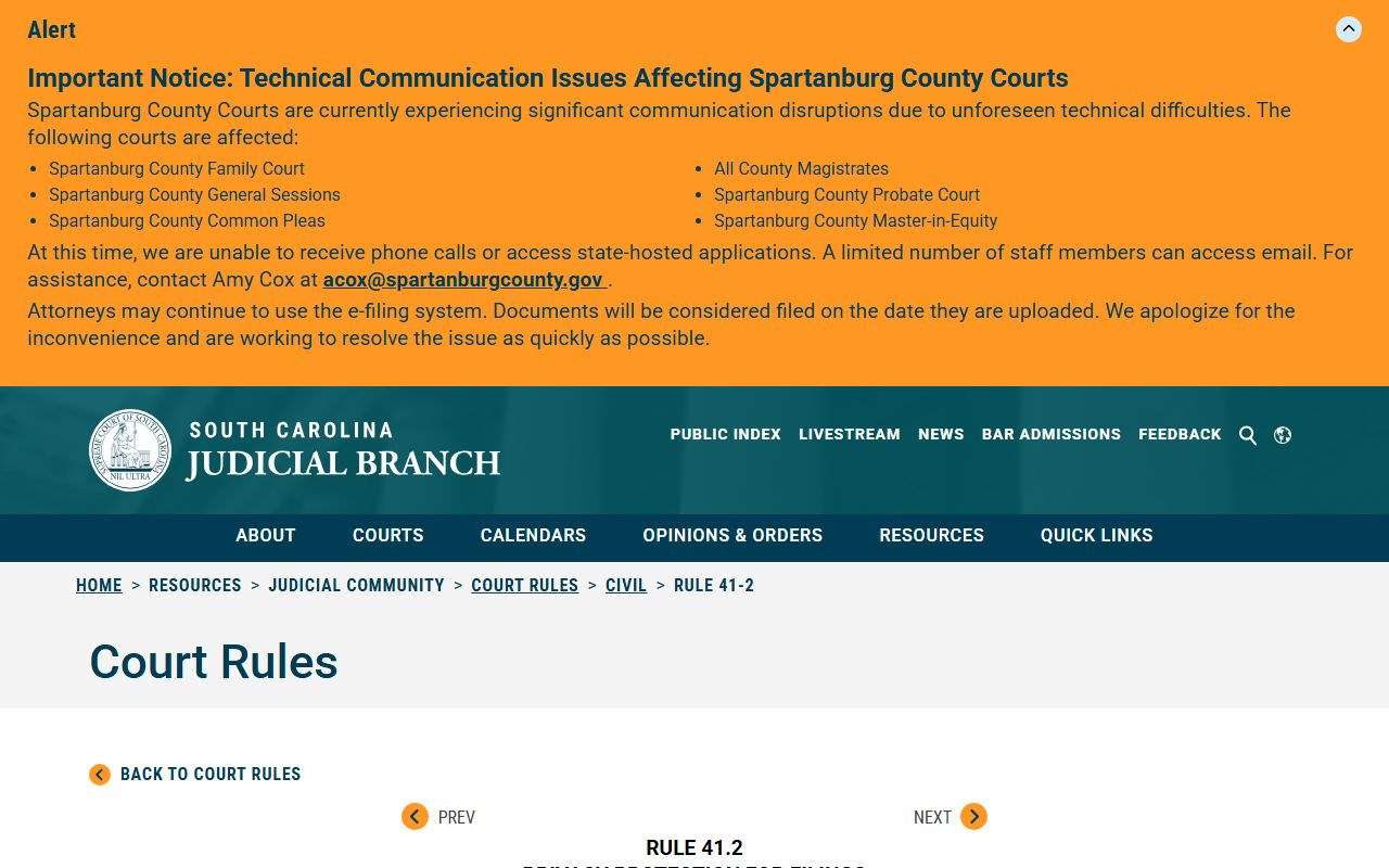 Darlington County Clerk of Court records redaction rule image
