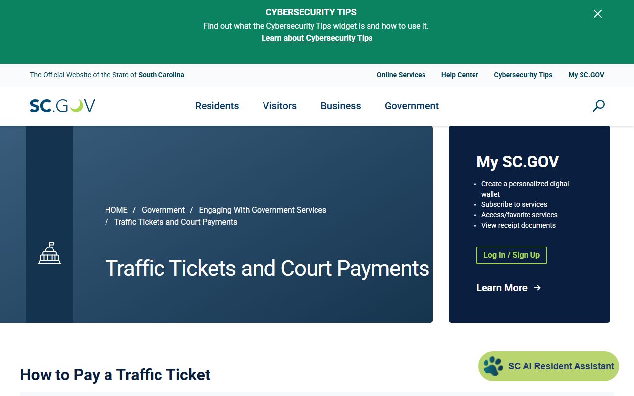 Darlington County court dockets traffic ticket court payment instructions