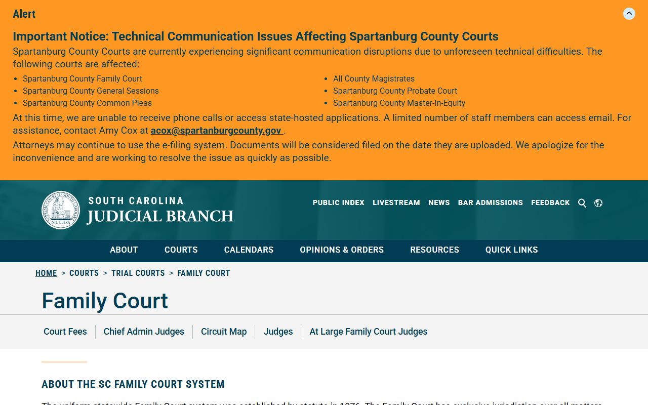 Darlington County court records Family Court portal