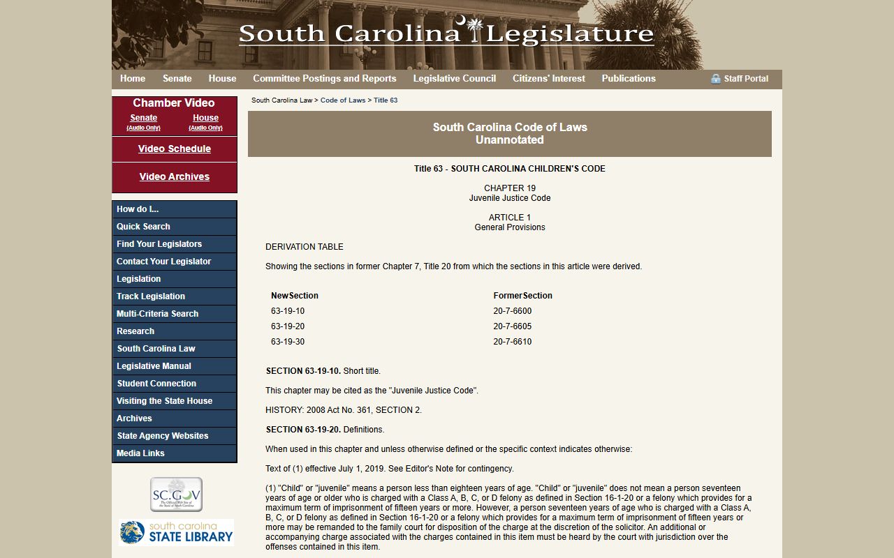 Darlington County criminal court records juvenile confidentiality statute